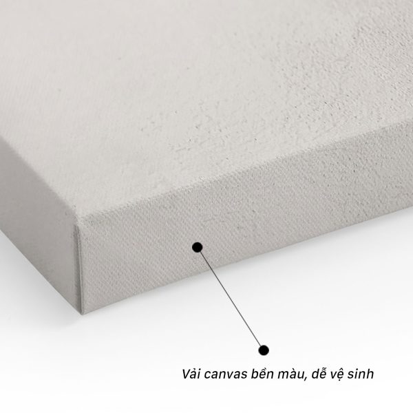 Vải Canvas