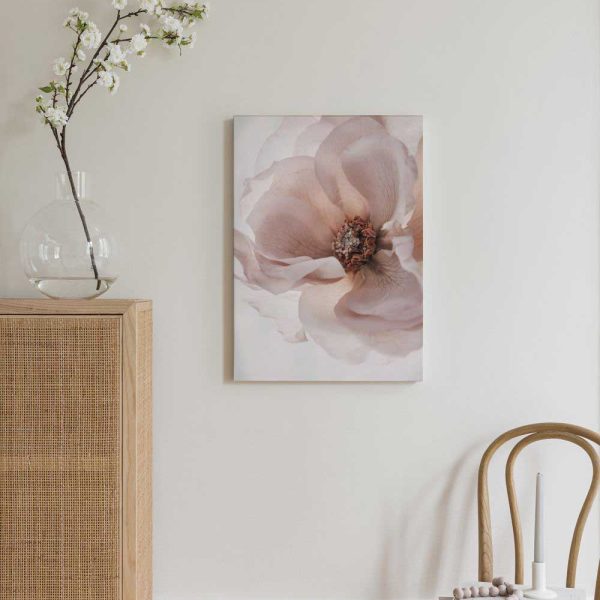 672b61a9c9a98df4b6d2d4a2 608973442 Canps50698 2