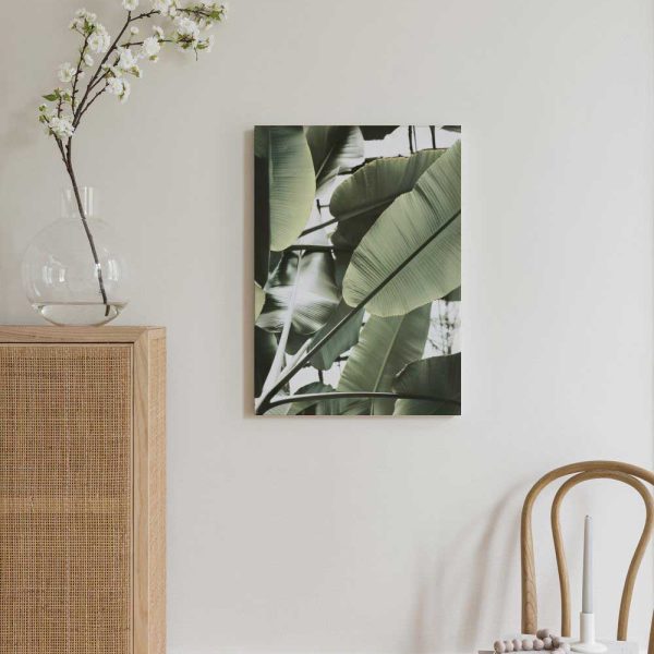 672b801cc9a98df4b6d2dc3b 1095622693 Canps52191 2