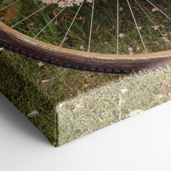 67c3ede1bd1f18c7d3450473 491670196 Canps53363 3