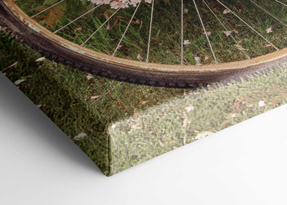 67c3ede1bd1f18c7d3450473 491670196 Canps53363 3 67c3ede1bd1f18c7d3450473 491670196 Canps53363 3