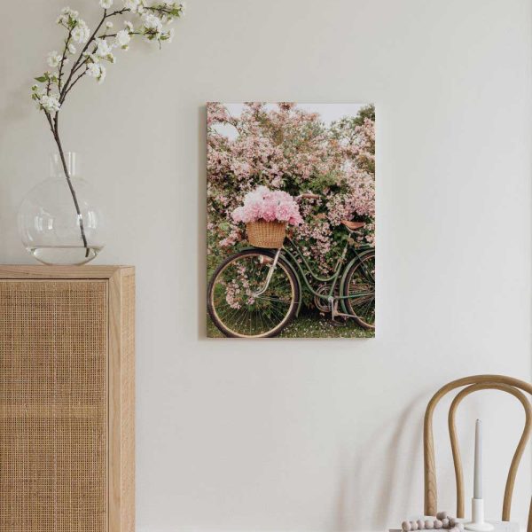 67c40258c2ca41280d29af89 1164311272 Canps53363 2