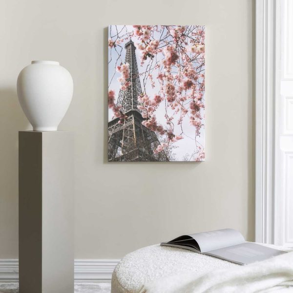 67f7c550dce54ccd7f7678bd 735412405 Can14778 Display Image Ps