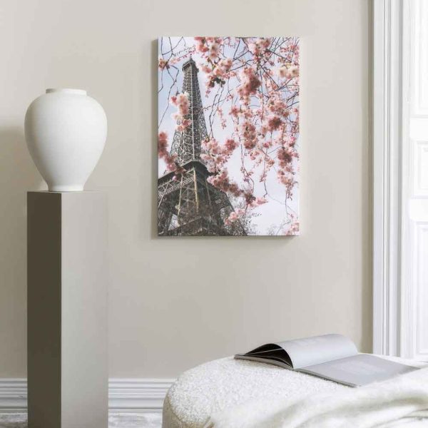 67f7c550dce54ccd7f7678bd 735412405 Can14778 Display Image Ps