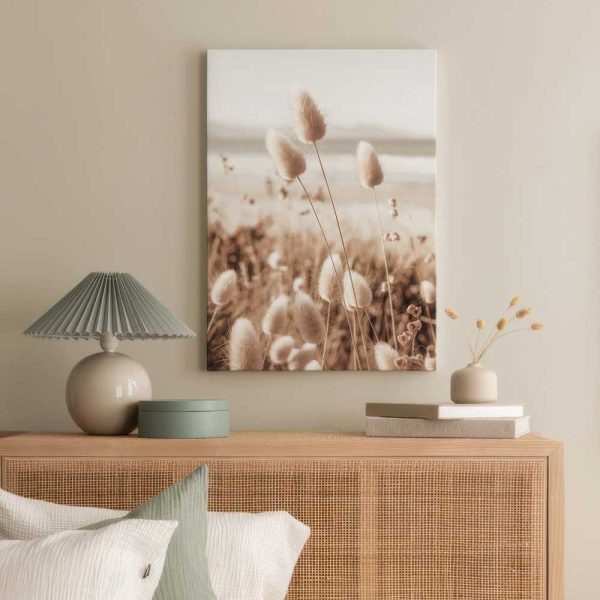 67f7c59f74d8779742c6c9e6 1636151595 Canps50931 Display Image Ps