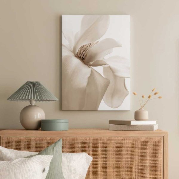 67f7c5a759f1afd67bc0c336 1896358879 Canps50985 Display Image Ps