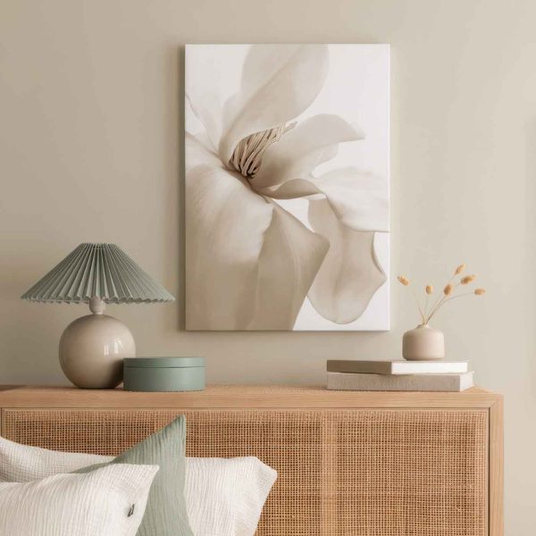 67f7c5a759f1afd67bc0c336 1896358879 Canps50985 Display Image Ps