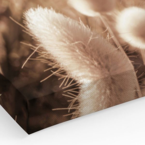 67f85107640a92c19e12d35f 1645385526 Canps50931 Corner Image Ps