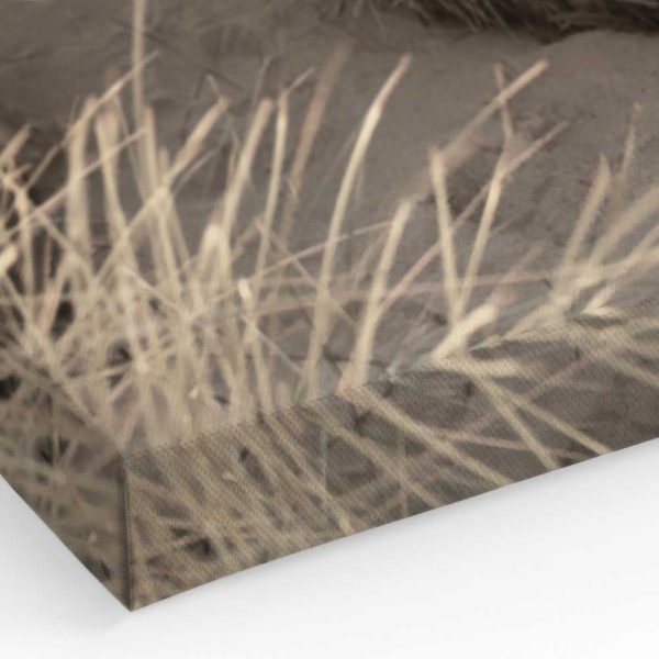 67f8520baf53f42d19249909 421376090 Canps51436 Corner Image Ps