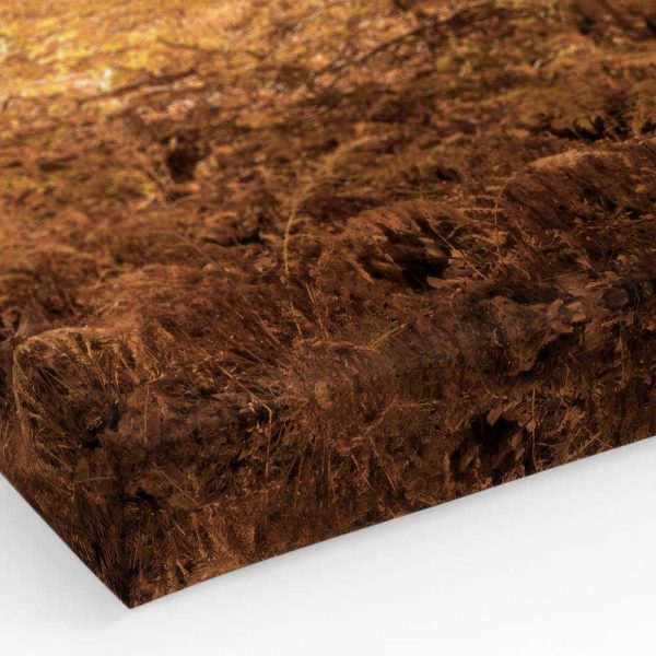 67f8525d5d339427fa9a9265 1417600505 Canps52148 Corner Image Ps