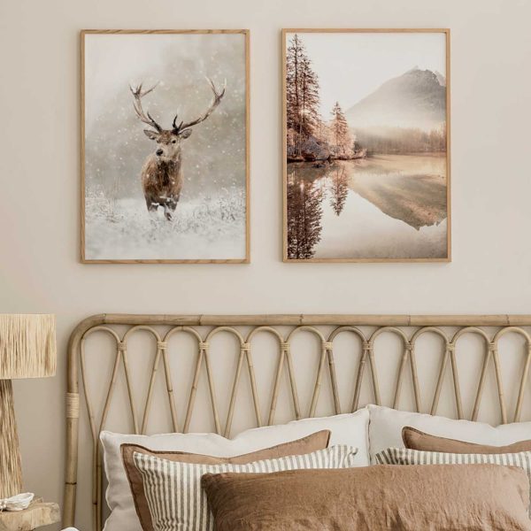 Calm Winter Duo